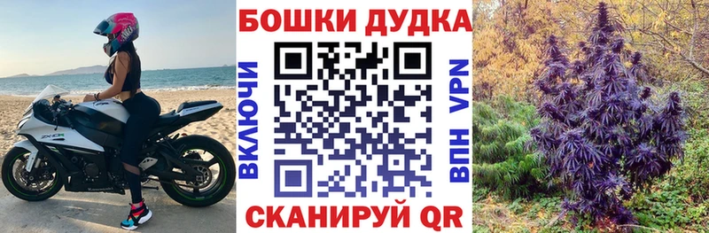 Шишки марихуана Amnesia  Салаир 